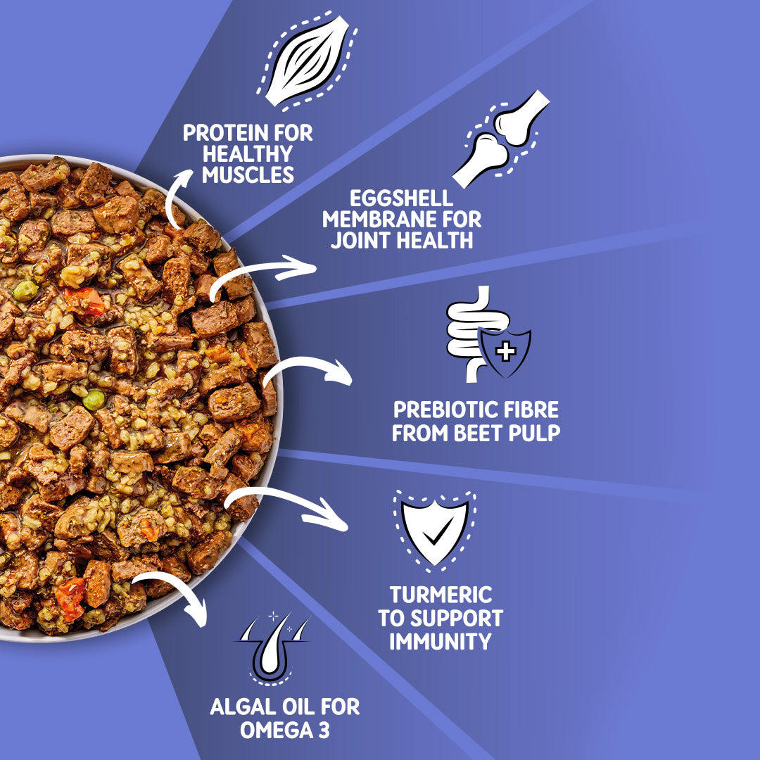 Chicken & Brown Rice Wet Dog Food | 12 x 390g Bulk Buy | Adult