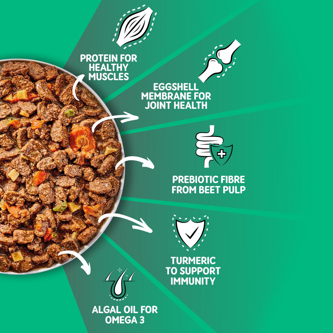 Grain Free Lamb & Chicken Wet Dog Food | 12 x 390g Bulk Buy
