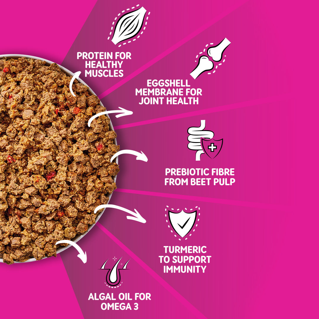 Chicken & Brown Rice Wet Dog Food | 12 x 390g Bulk Buy | Adult