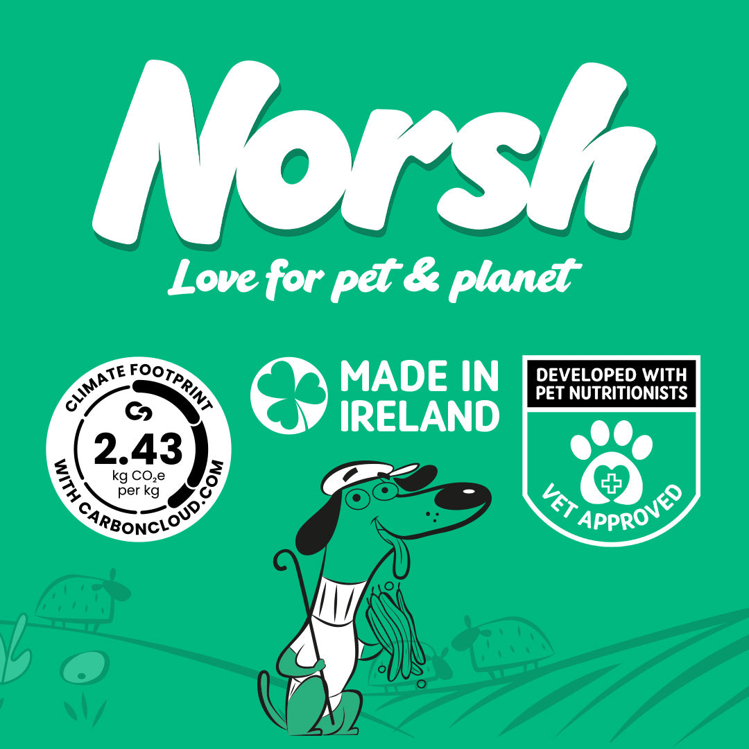 Norsh Lamb Hotpot