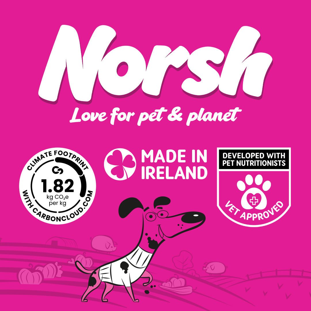 Norsh Pork Pie