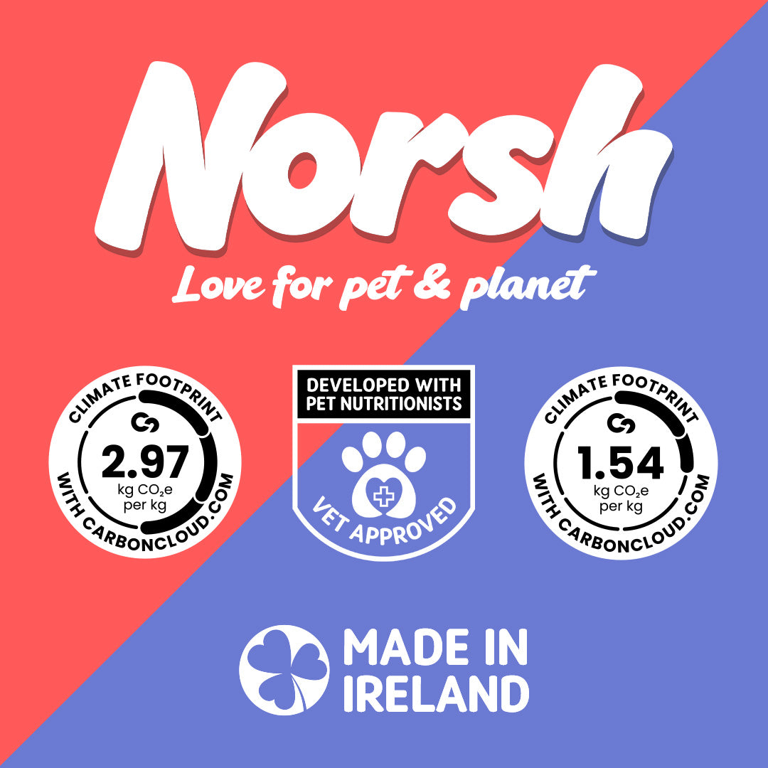 Adult & Senior Wet Dog Food with Brown Rice | Chicken & Turkey